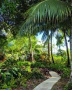 Top Bocas del Toro