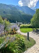 Top Wald im Pinzgau