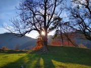 Top Oberaudorf