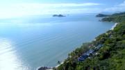 Top Palm Cove
