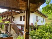 Top Yakovtsi Top Yakovtsi