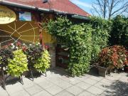 Top Romhány Top Romhány