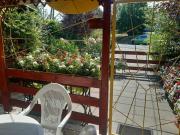 Top Romhány Top Romhány