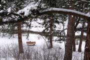 Top Estes Park