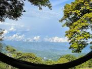 Top Fredonia Top Fredonia