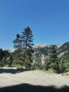 Top Pérkos Top Pérkos