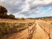 Top Malemort-du-Comtat