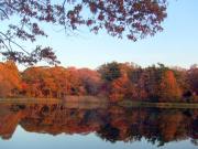 Top Shelter Island Heights