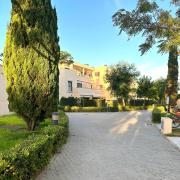 Costa Ballena Mar Abierto