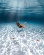 Top Hopkins