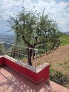 Top Pescia