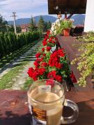 Top Piatra Fantanele Top Piatra Fantanele