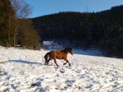 Top Plettenberg Top Plettenberg