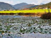 Top Reit im Winkl Top Reit im Winkl