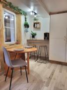 studio cosy rdc centre Laval vu château et jardin