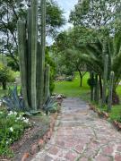 Home in San Miguel de Allende. Casita de La Aldea