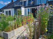 Top Offingawier Top Offingawier