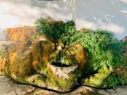 Top Cuevas del Becerro