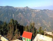 Top Ghum
