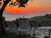 Top Podgora