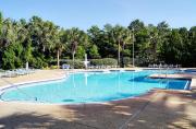 Top Destin