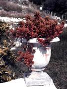 Top San Miguel de Allende