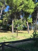 Top Montesilvano Top Montesilvano