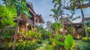 Top Ubud