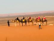 Top Merzouga