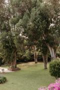 Top Sant Andreu de Llavaneres