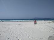 Aconchego Flamboyant em Cabo Frio