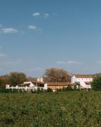 The Luxe Pushkar - A Luxury Farmstay in Pushkar