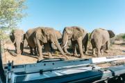Omaruru Game Lodge