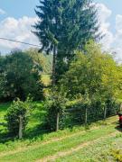 Top Valea Drăganului