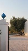 Top Ostuni