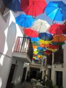 Top Canillas de Aceituno Top Canillas de Aceituno