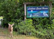 Top Ucluelet
