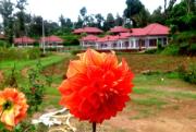 Top Madikeri