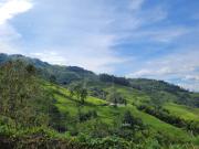 Top Santa Rosa de Cabal