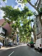 AQ Puerto Chico - Centro de Santander