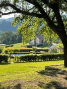 Top Valtopina Top Valtopina