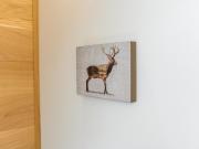 Top Zakopane Top Zakopane