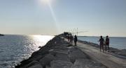 Top Chioggia