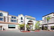 Top San Diego