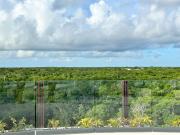 Top Tulum