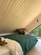 Top Jastrzębia Góra