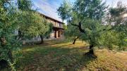Top San Venanzo