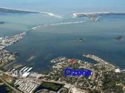 Top Palm Harbor