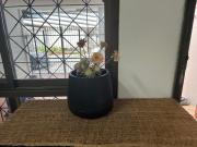 Piano Private House Piano Private House