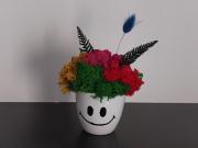 Stefania Apartment Sibiu